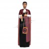 Gigante de Sant Climent de Llobregat (Roser)