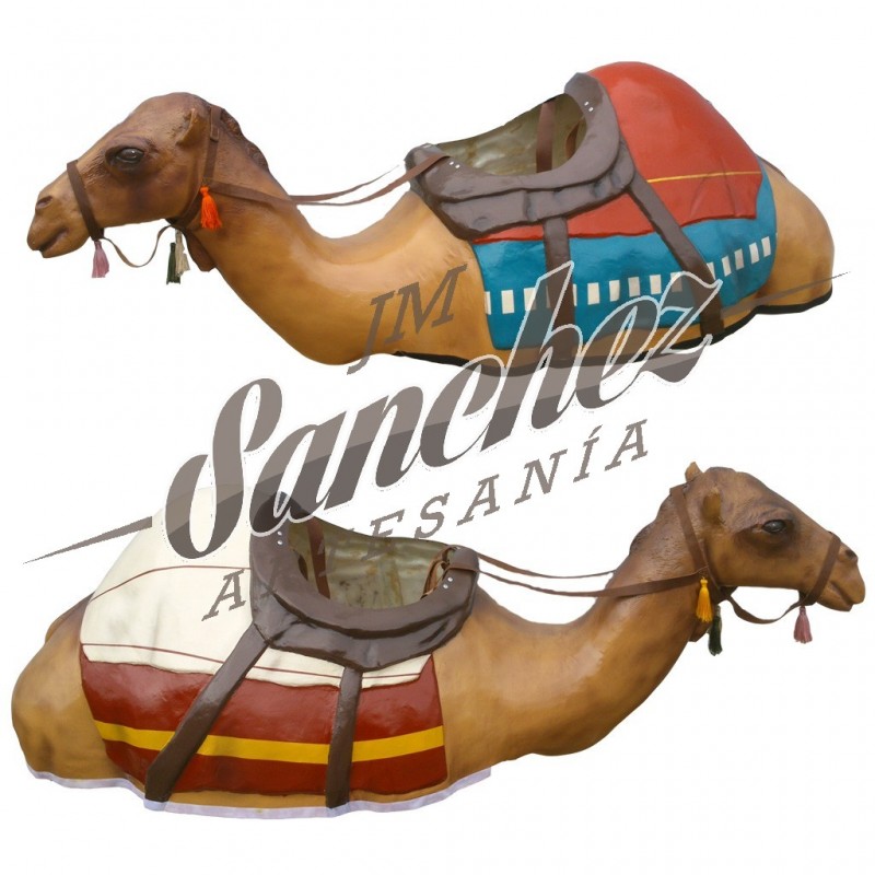 Camellos  adultos